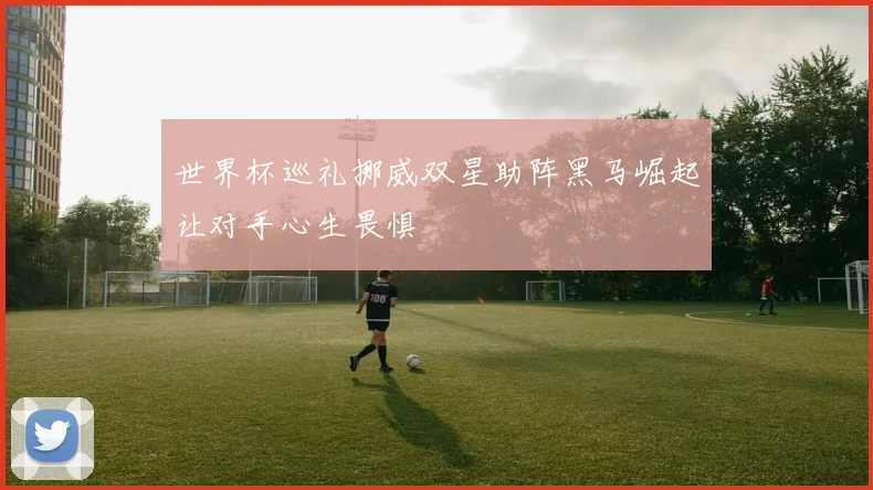 世界杯巡礼挪威双星助阵黑马崛起让对手心生畏惧